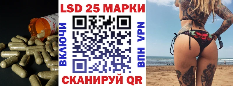 darknet Telegram  Зубцов  LSD-25 экстази кислота 