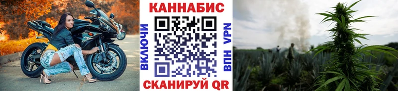 Шишки марихуана индика Зубцов